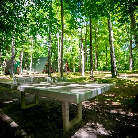 Osrodek Wypoczynkowy Elemis Station touristique Stare Jabłonki