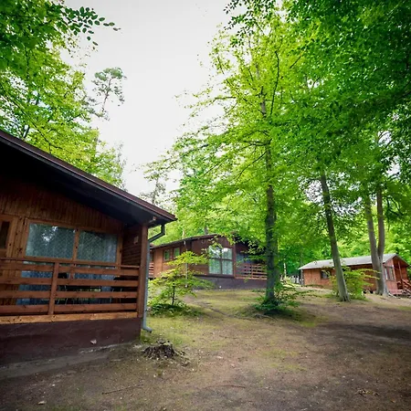 Osrodek Wypoczynkowy Elemis Station touristique Stare Jabłonki