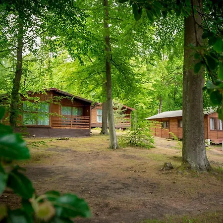Osrodek Wypoczynkowy Elemis Station touristique Stare Jabłonki