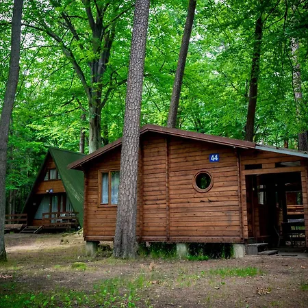 Station touristique Osrodek Wypoczynkowy Elemis Stare Jabłonki